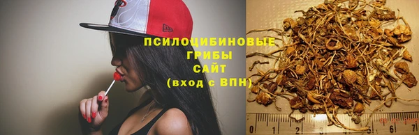 ALPHA PVP Медвежьегорск