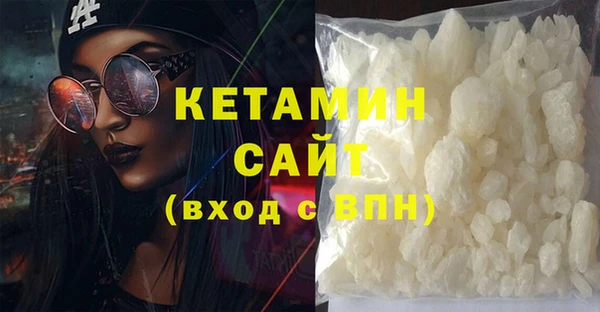 прущие грибы Медногорск