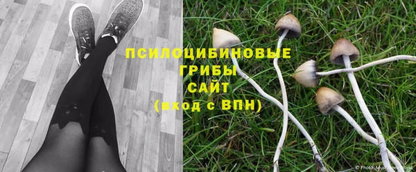 ALPHA PVP Медвежьегорск