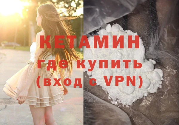прущие грибы Медногорск