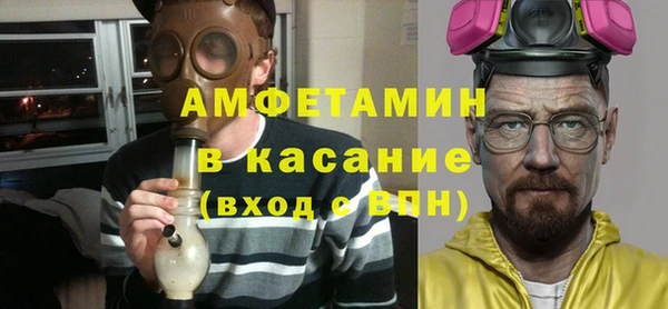 прущие грибы Медногорск
